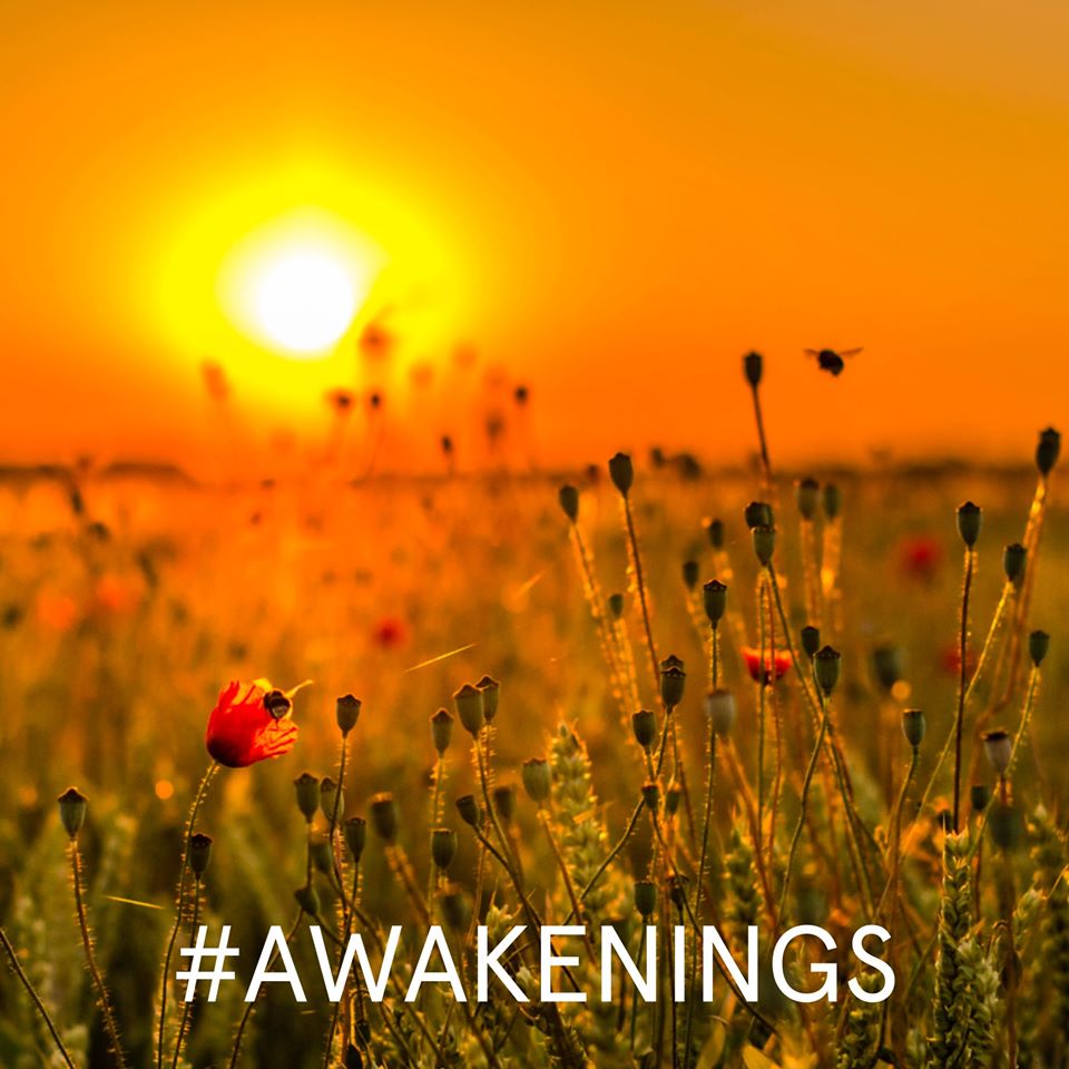 AWAKENINGS-logo